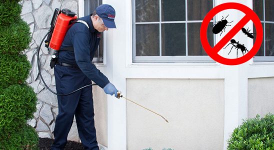 Aralık Akrep İlaçlama böcek ilaçlama ve haşere kontrolü — ilaclama-tr.com
